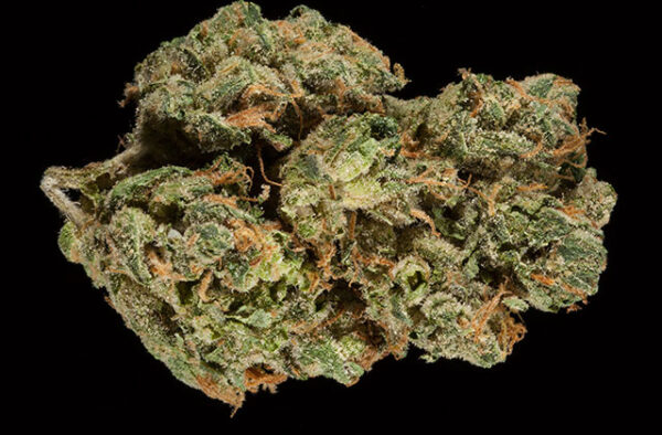 Buy Superglue OG Marijuana Strain online In Australia